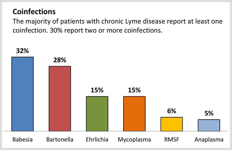 Types of Lyme disease co-infections