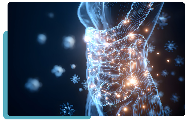 MCAS Treatment Gut Health