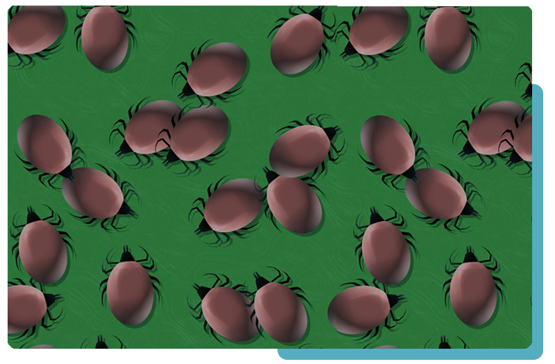 Multiple Lyme CoInfections